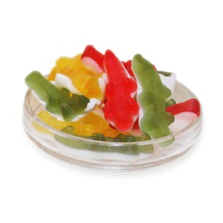CROCODILE LISSE HARIBO - Bonbon gélifié